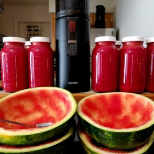 Hurom H400 Slow Juicer